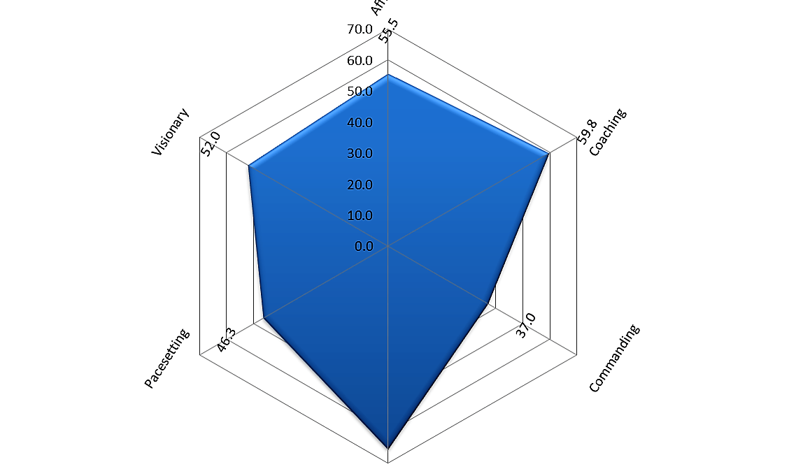 Leadership Style Report